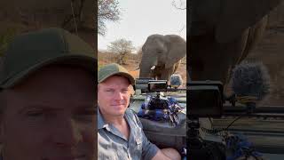 Elephant Approach a Safari Vehicle