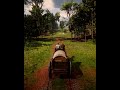 Red Dead Redemption 2 | The Fine Joys of Tobacco | Story Walkthrough | GTX | 4K 60 FPS 2