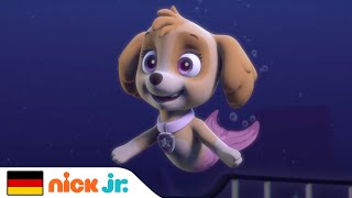 PAW Patrol | Meerfellfreunde als Helfer der PAW Patrol | Nick Jr. Deutschland