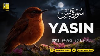 Relaxing Surah Yasin (Yaseen) سورة يس for Sleep &amp; Depression ✦ Calming Quran Recitation