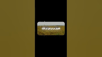 سورة النجم | علي جابر 29-30 #quran #قرآن #المصحف