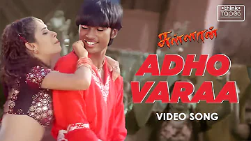 Adho Varaa Video Song | Sullan | Dhanush, Sindhu Tolani, Manivannan, Pasupathy | Ramana | Vidyasagar