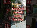 kisah Nabi YUNUS dimakan IKAN PAUS...#quotes #kisahnabi #nabiyunus #subscribe #kisahislami