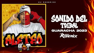 Guaracha 2023 🔊 Sonido Del Tribal 😈 (Aleteo, Zapateo, Guaracha, Tribal) (Original Mix) Dj Roderick