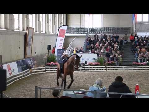 20150404 CVI Saumur Libre