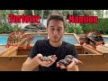 Building A Tortoise Mansion!!!