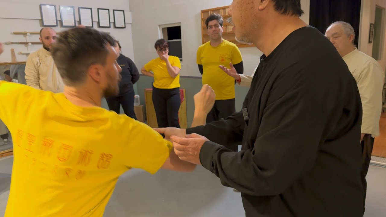 Arts martiaux internes - Taichi Chuan & Tui Shou (poussée des main) - Synthèse fondamentale