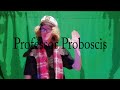 Professor Proboscis Episode 60 The Winding Trail Professor Proboscis Episode 60 The Winding Trail