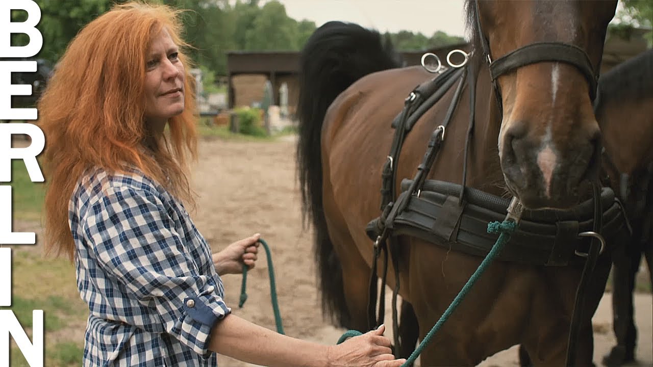 Ein Leben mit Pferden in der Ruppiner Heide, dem ehemaligen Truppenübungsplatz Wittstock