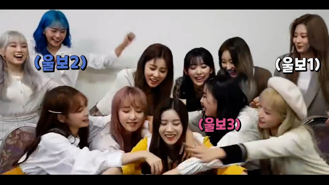 언니생일에 우는 울보 1,2,3호