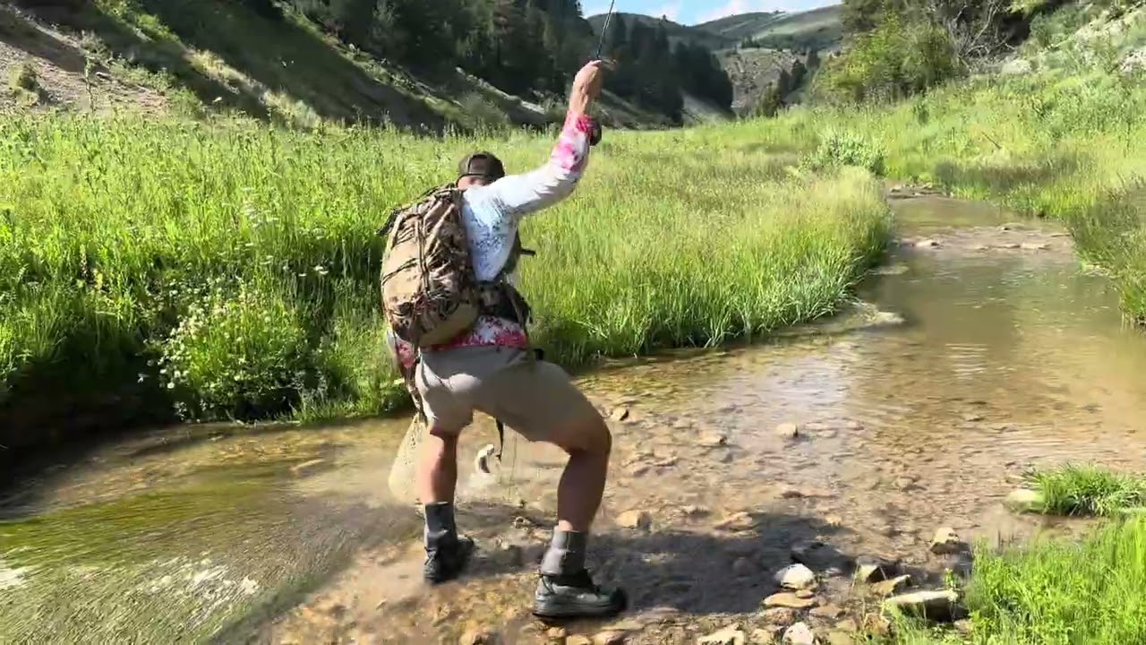 Back country creek fishing 