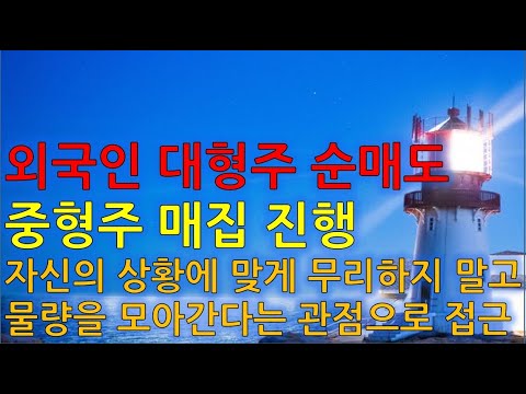 수급분석 외국인 대형주 순매도, <strong>중형주</strong> 매집 진행