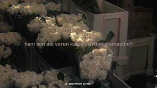 Ayla Dikmen - Anlamazdın Sözleri