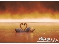 يا عيد مالك من شوق تابط شرا يا عيد مالك من شوق تابط شرا