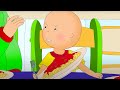 Caillou and Anger Management | Caillou Cartoon