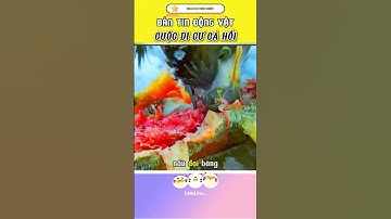 Cuộc di cư của Cá Hồi