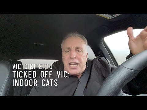 Ticked Off Vic: Indoor Cats | VicDiBitetto.net