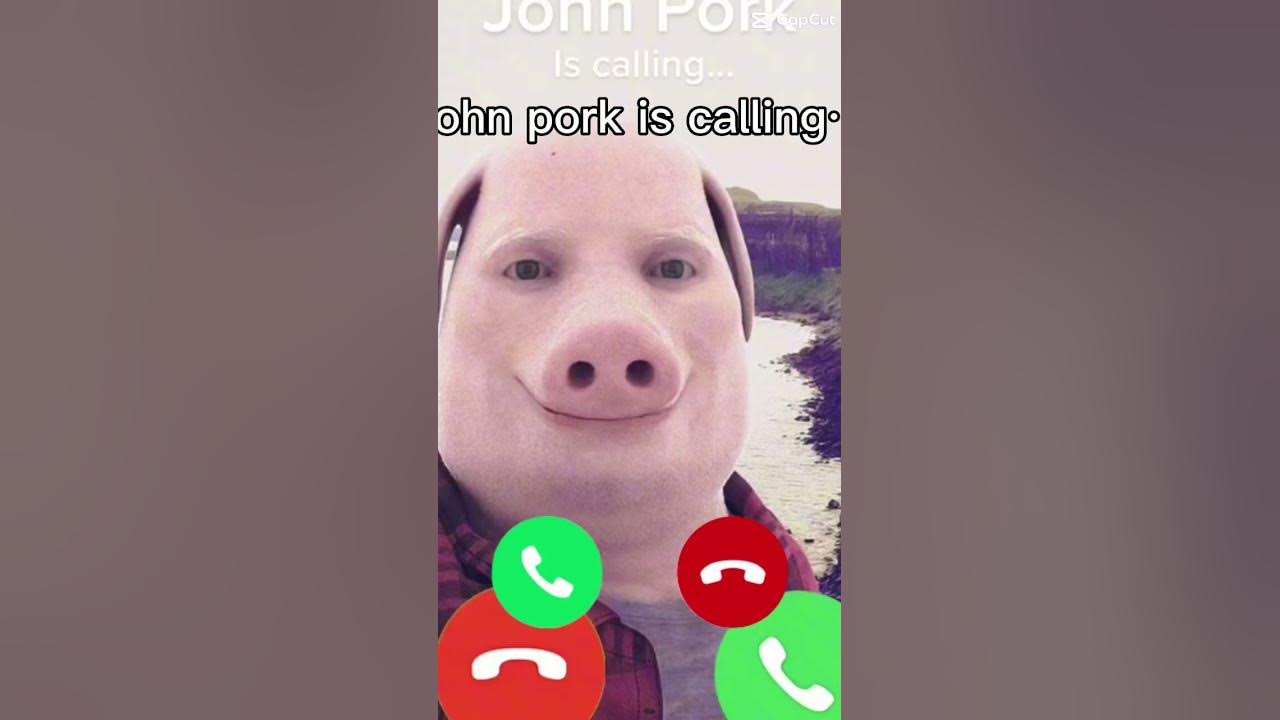 John Pork is calling by AnalogRingTransmission99590