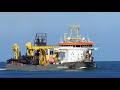 BOSKALIS HOPPER DREDGERS - FREEWAY and WILLEM VAN ORANJE  #271