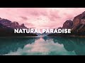 NATURAL PARADISE Riddim | Reggae Beat Instrumental | Reggae romantico Love instrumental | 2023