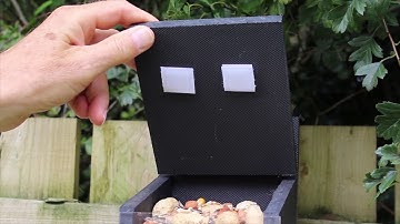 Red squirrel monitoring best practice video