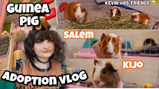 I ADOPTED TWO BABY GUINEA PIGS!  | adoption vlog |