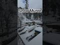 Murree Snow Fall