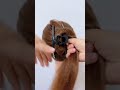 💁‍♀️ Quick &amp; Elegant Hair Style Tutorial
