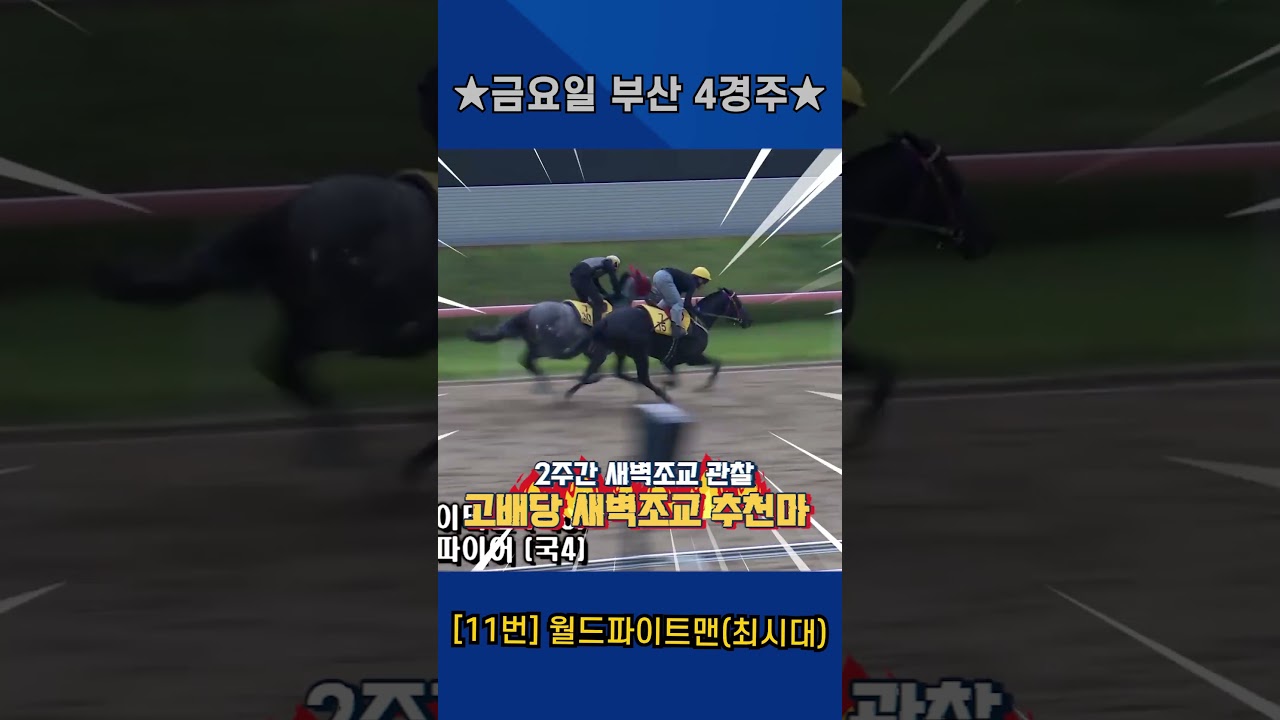 7월10일 금요일 부산 4경주!! 2주간 훈련보인 강백호의 새벽조교 쏘스마!!