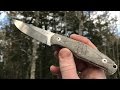 Giant Mouse GMF2 Fixed Blade Companion Knife: Solid Little Performer For the Woods