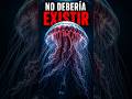 no debería existir: la medusa más grande del mundo 😨#amazonas #ocean #depredador