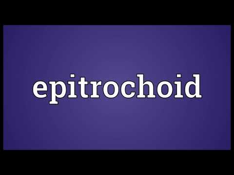 Epitrochoid Meaning