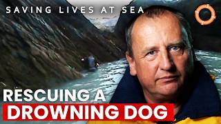 Father And Son Try To Rescue A Drowning Dog | Saving Lives At Sea | S02 E08 | Full Episode