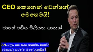 How to Become a CEO in Sri Lanka | Qualifications, Pathways & Salary Guide