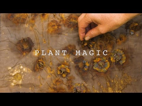 Plant Magic – Eco-Printing with Jennifer Johnson [Artist Portrait]