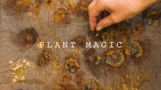 Plant Magic – Eco-Printing with Jennifer Johnson [Artist Portrait]