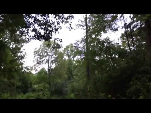Crazy rzr jump!
