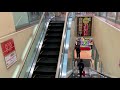 コモディイイダ 聖蹟桜ヶ丘店