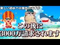 海外行って日本に帰ってきたら3000万円請求されて人生終了しかけた話【ネコミーム】【猫ミーム】