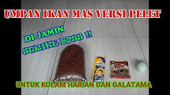 UMPAN IKAN MAS VERSI PELET PALING JOSS UNTUK KOLAM GALATAMA DAN HARIAN - Durasi: 5.51. 