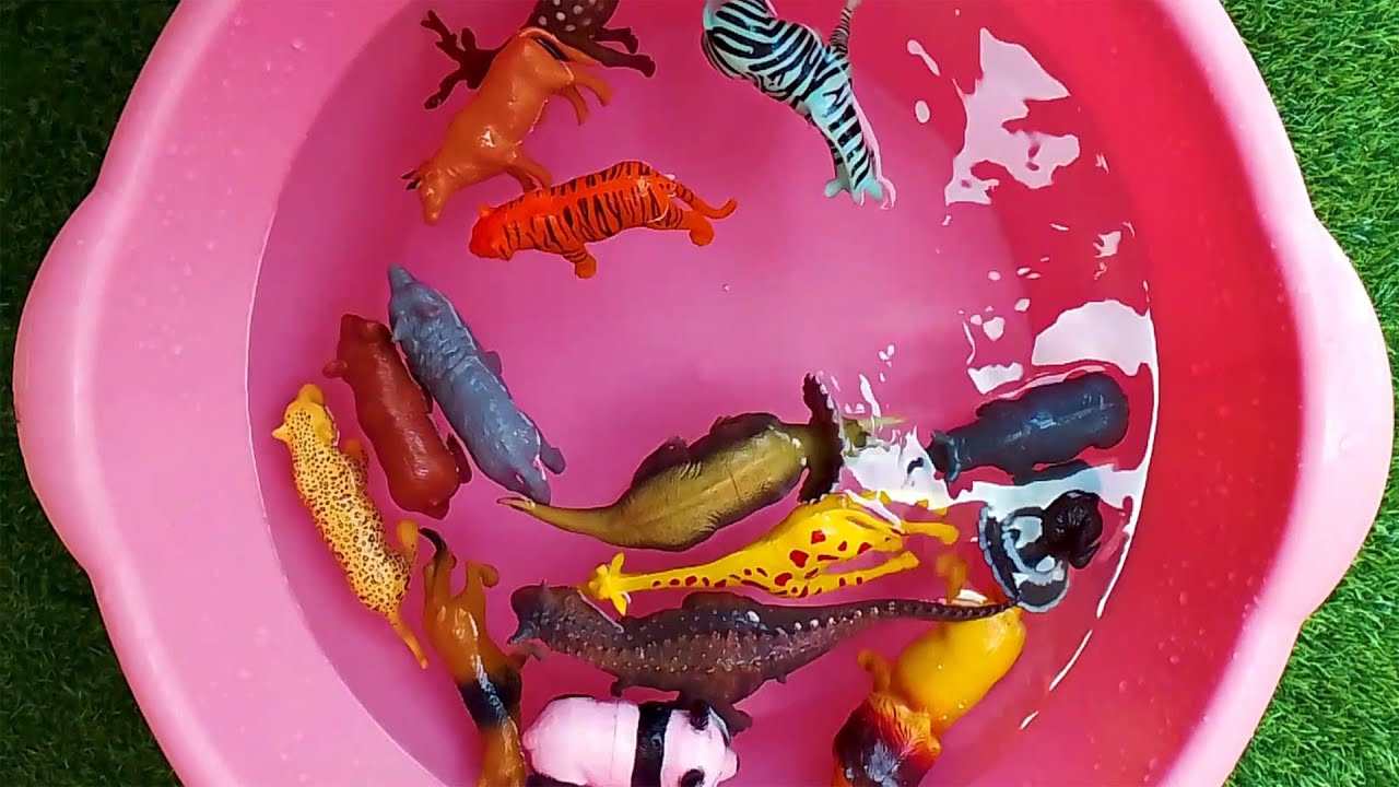 Learn Animals And Toys In Water Zoo Animal Toys Getting Washed