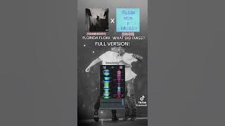 Florida Flow x What Did I Miss