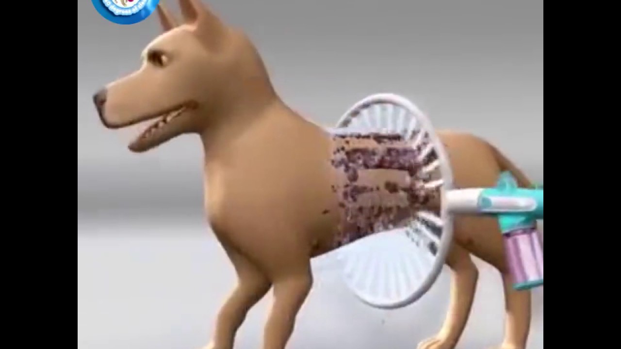 Useful dog washer YouTube
