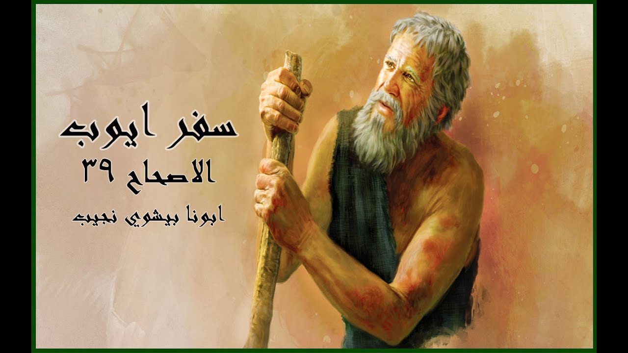 تفسير مبسط لسفر ايوب الاصحاح(٣٩)…ابونا بيشوي نجيب