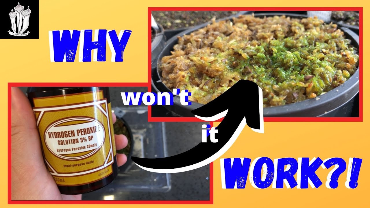 Why Does Hydrogen Peroxide Not Help?