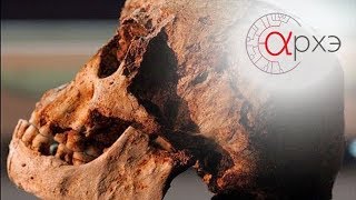 видео: Станислав Дробышевский: картинка: Станислав Дробышевский: