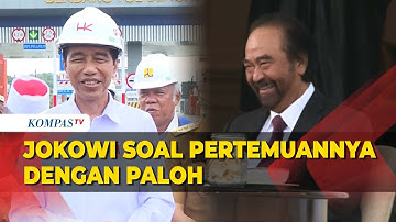 Jokowi Ungkap Isi Pertemuannya dengan Surya Paloh