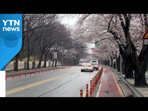 [날씨] 밤사이 중서부·전남 동부 비...내일 황사 유입 / YTN
