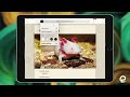 Safari Reader Mode and Accessibility Features Quiz