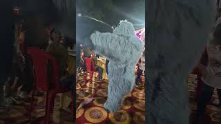 Gorilla Dance #shorts #short#youtubeshorts #shortsfeed #shortvideo #dance #gorilla #viralshorts